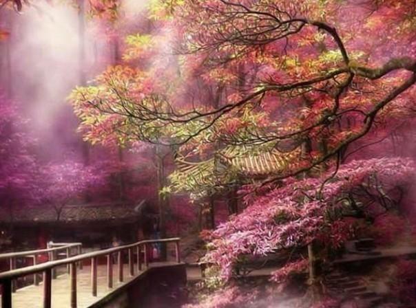 了解瑞风车的后减震一前一后为什么平台,拓展知识星球的视野!